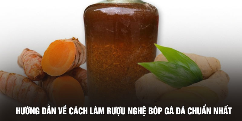 Hướng dẫn về cách làm rượu nghệ bóp gà đá chuẩn nhất