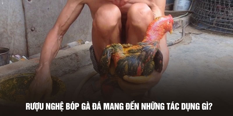 Rượu nghệ bóp gà đá mang đến những tác dụng gì?